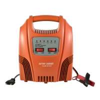 A1215LX FTpower  Automatic Lead Acid Auto Battery Charger 15A 12V/24V